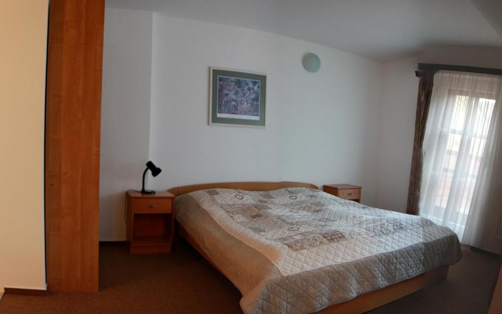 Penzion Bohemia - Resim 36