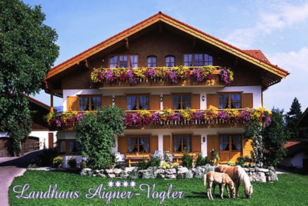 two horses grazing in the grass in front of a house at Landhaus Aigner-Vogler in Fischen
