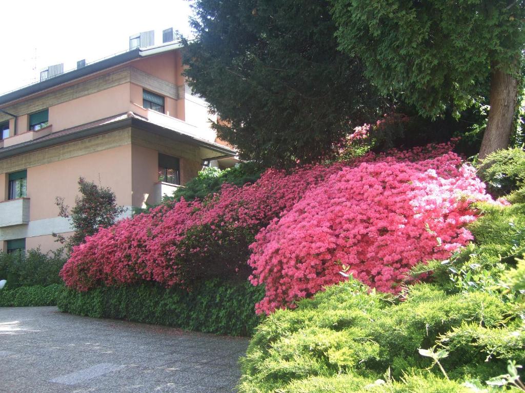 Zahrada ubytování Hotel Canturio