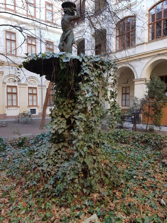 Vonkajšia záhrada v ubytovaní Liszt Studio
