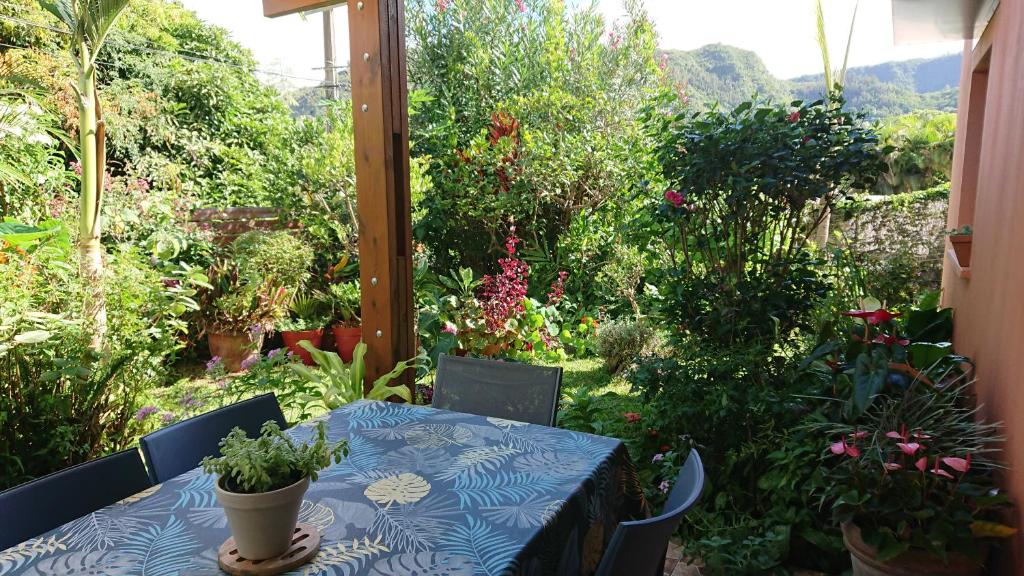 a table and chairs with a table and some plants at L'Hibiscus-Joli T3-70m2- Terrasse-Jardin in Entre-Deux