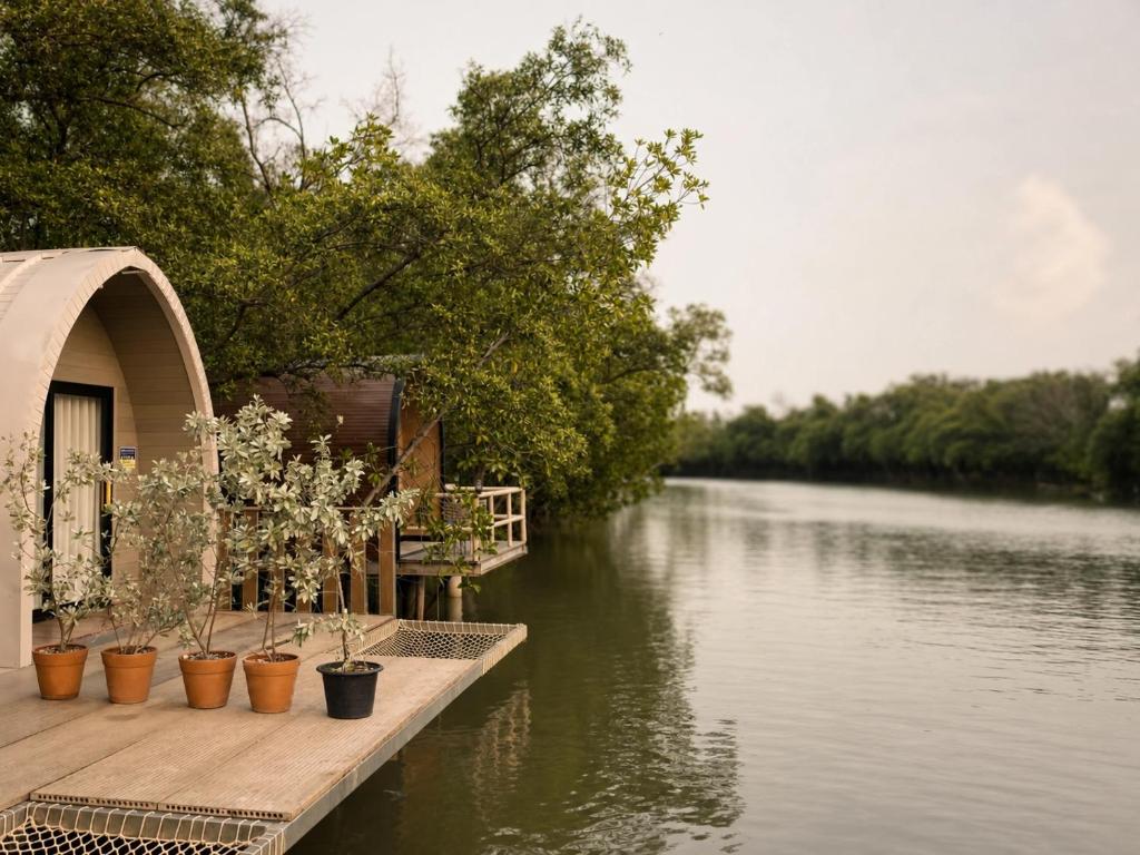a row of potted plants on a dock next to a river at rimbaymangroveresort in Ban Khlong Tamru