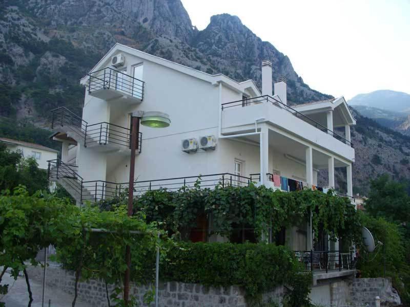 a large white building with a mountain in the background at Apartments Dakovic in Kotor