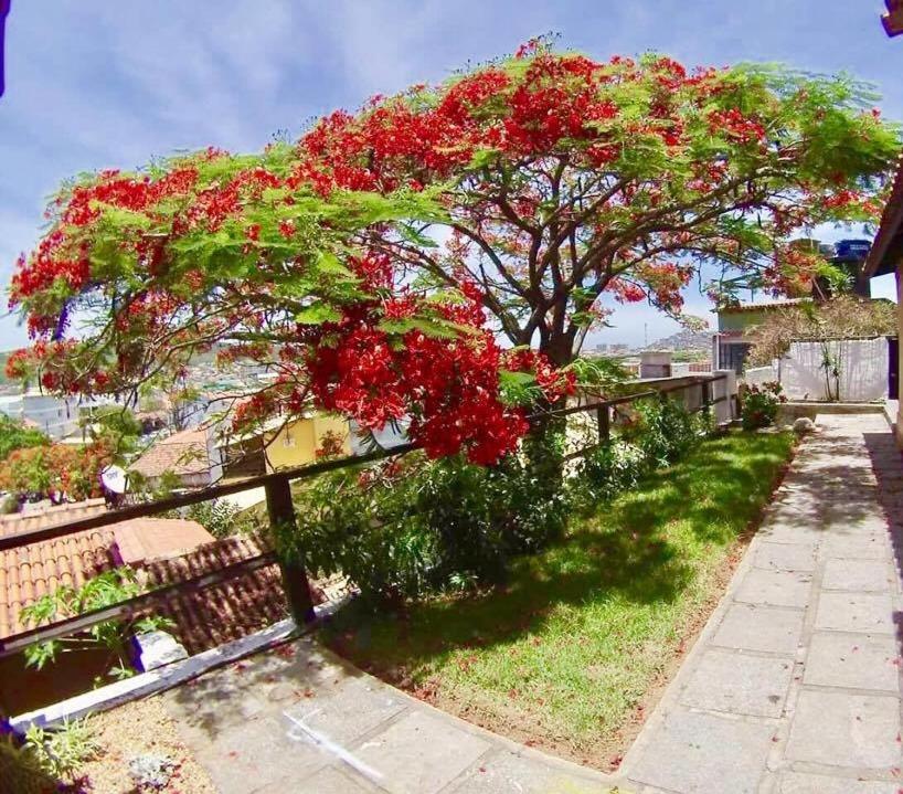 un árbol con flores rojas en una valla en Solar dos Anjos, en Arraial do Cabo