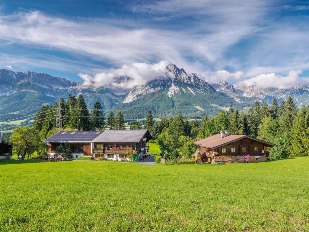 a house in a field with mountains in the background at Petererhof in Ellmau