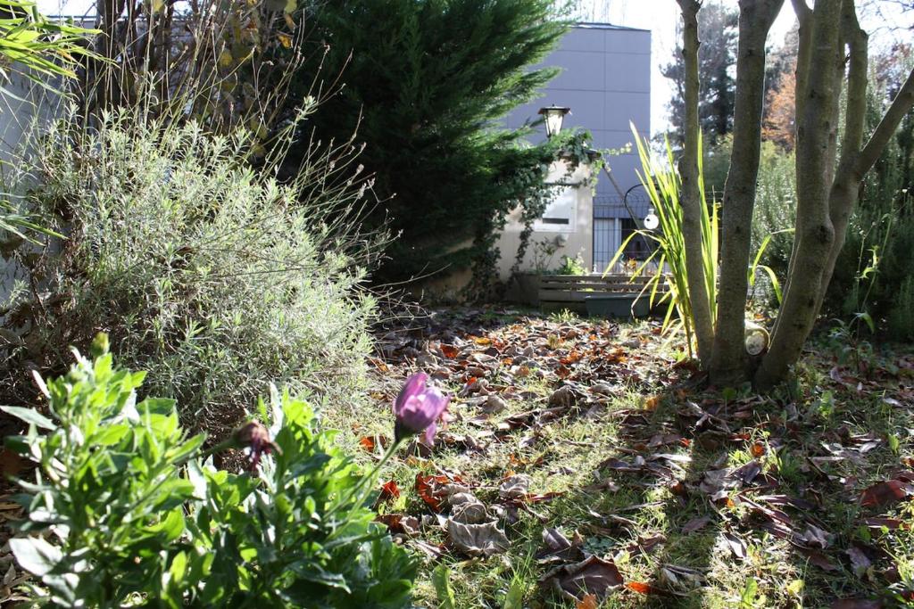 Garden in Colmar – photo 21