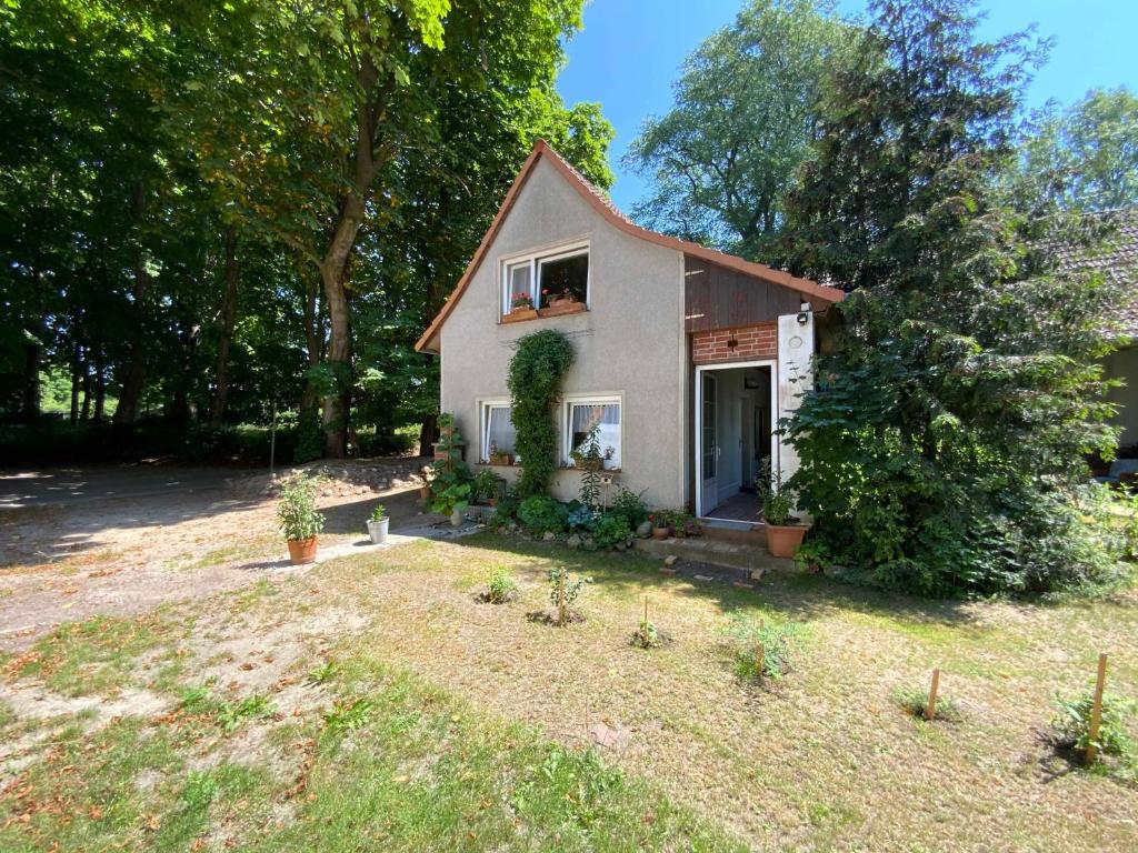 a small house with a window and a yard at Ferienwohnung Scheffler in Krakvitz