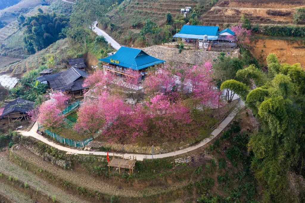 an aerial view of a house on a hill with pink trees at Nest hill retreat in Mù Cang Chải