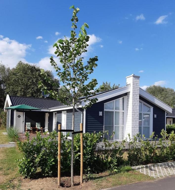 a small tree in front of a house at Ferienhaus Happy Days in Nordhorn