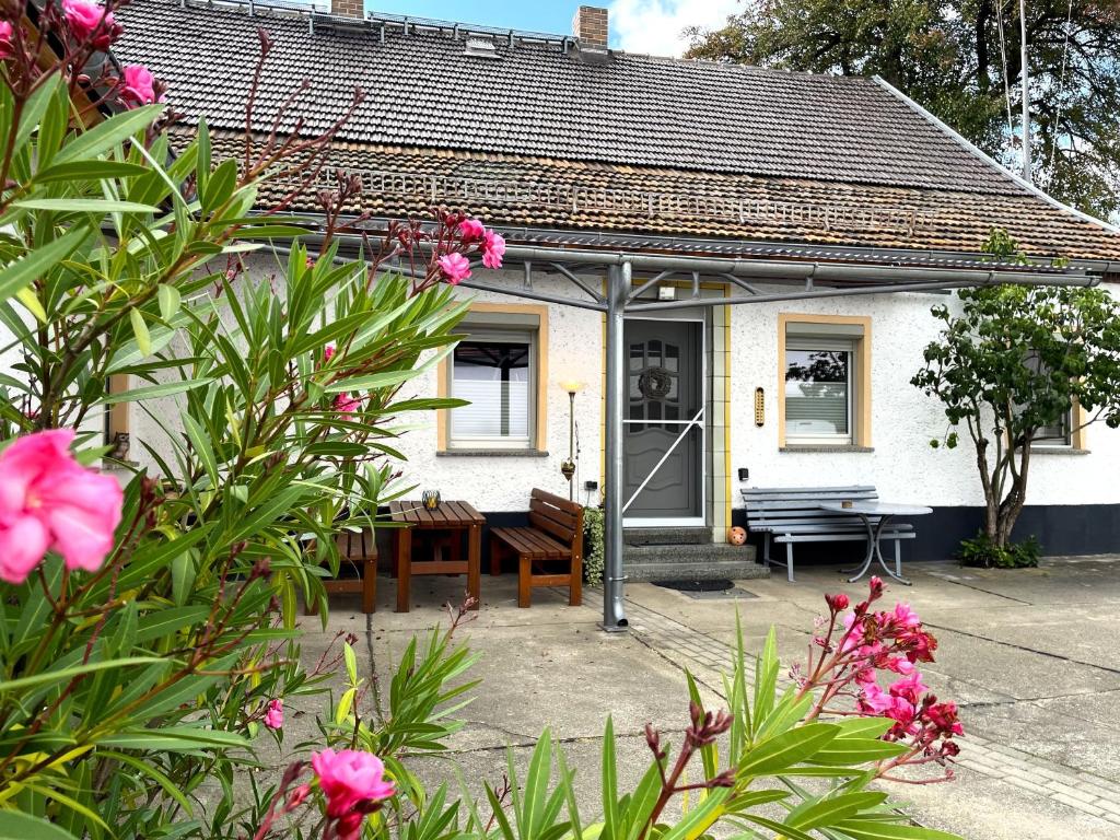 a white house with a bench and a table at Zimmer & Ferienwohnung Steuer in Leippe