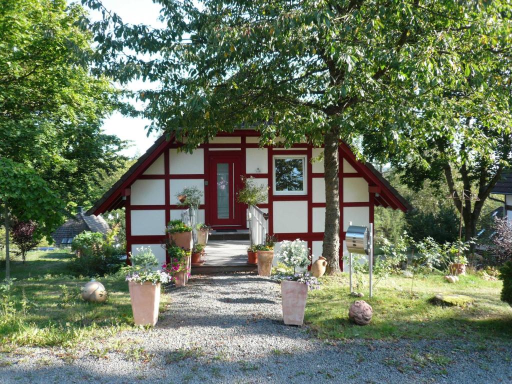 a small house with potted plants in front of it at Die Wohlfühloase in Frankenau