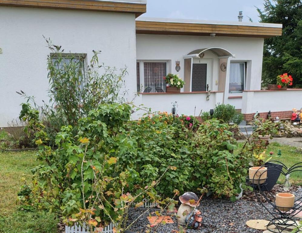 a house with a garden in front of it at Bungalow THEA in Langhagen