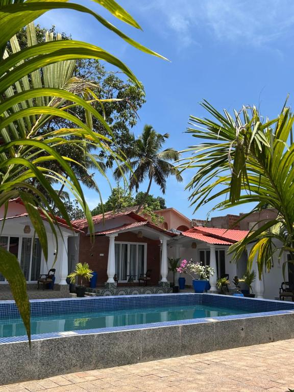 a house with a swimming pool and palm trees at DD cottages Mandrem Goa in Mandrem