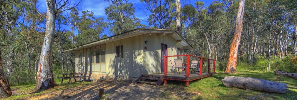 a small house in the middle of a forest at Kosciusko Tourist Park in Jindabyne