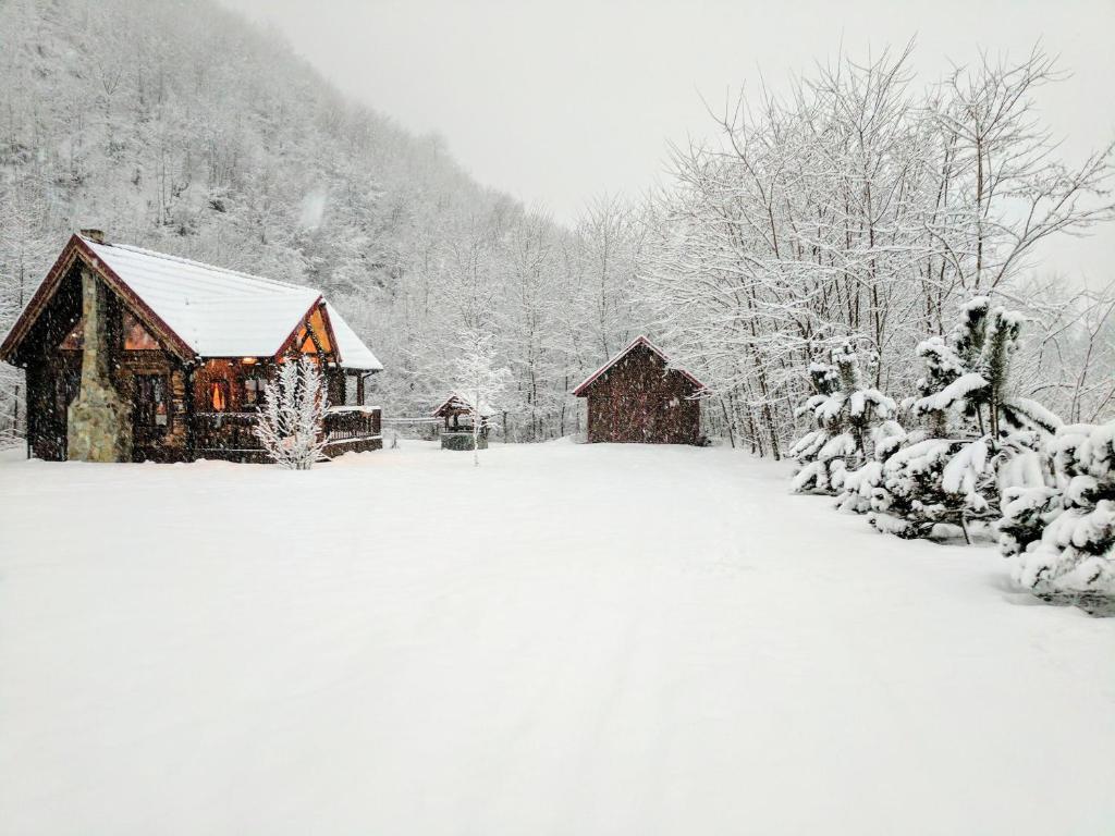 The Little Mountain Cabin v zimě