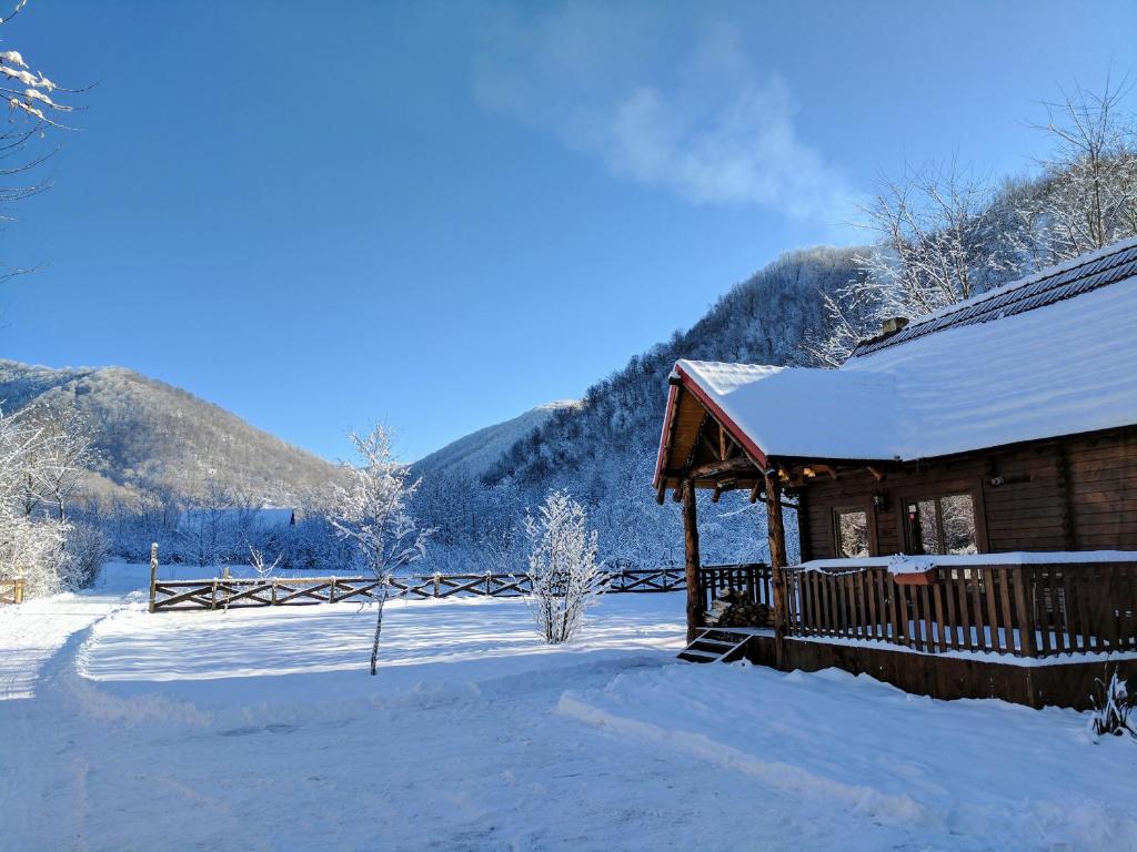 The Little Mountain Cabin v zimě