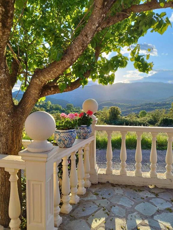 a white fence with two vases of flowers on it at Αγρόκτημα Βερνικο in Paráplati