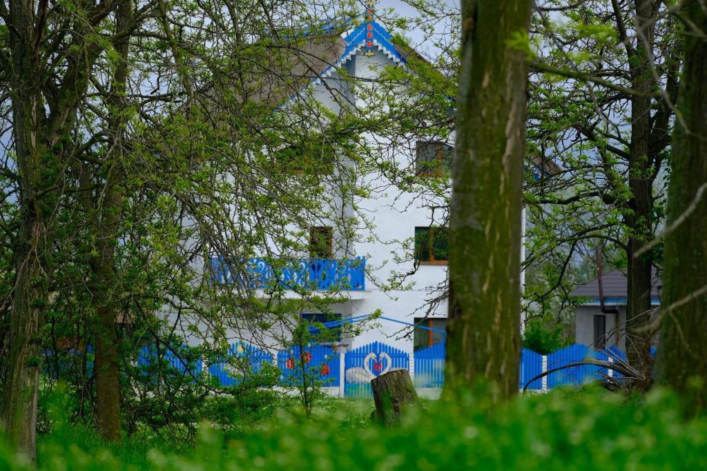 a building with blue paint on it behind trees at Casa cu flori in Tulcea