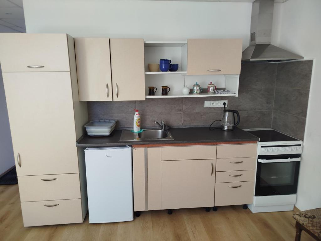 a small kitchen with white cabinets and a sink at Apartmán Lhota in Náchod