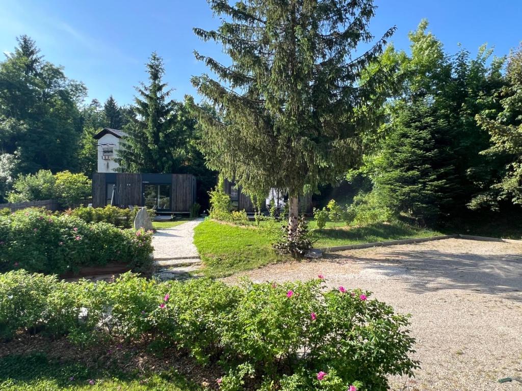a garden with a tree and a house in the background at Greilitz 23 in Gailitz