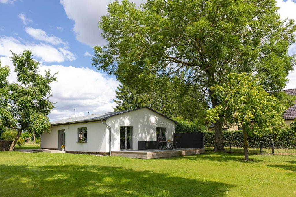 a white house in a yard with a tree at Spatzenhuus in Rubkow