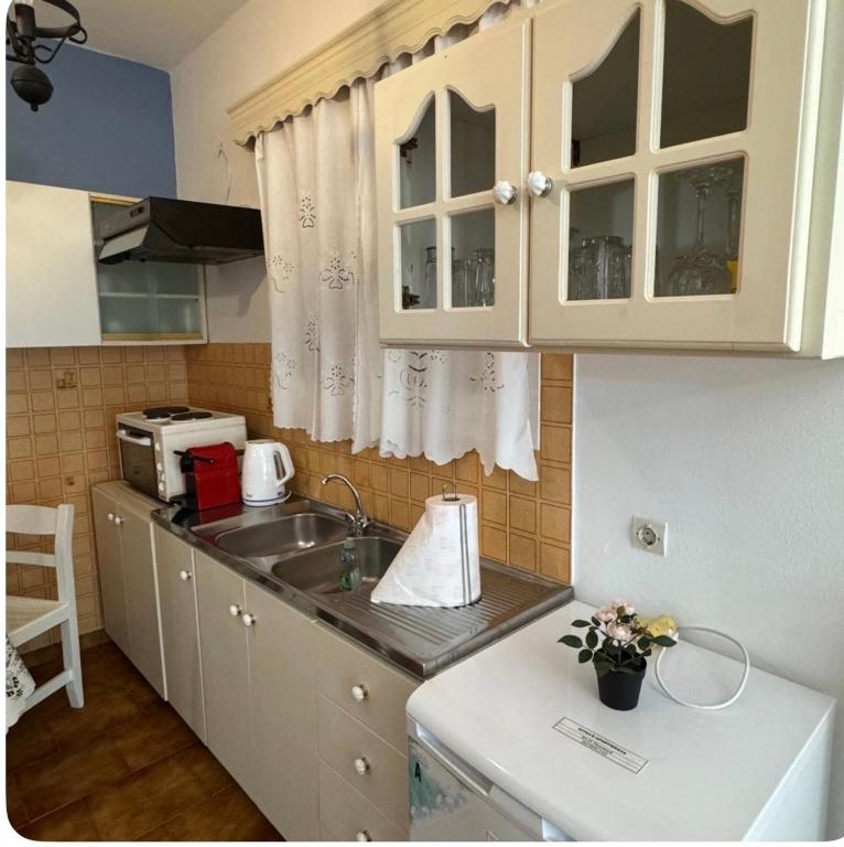 eine Küche mit Spüle und Mikrowelle in der Unterkunft Καμέλια 3 in Fiskardo