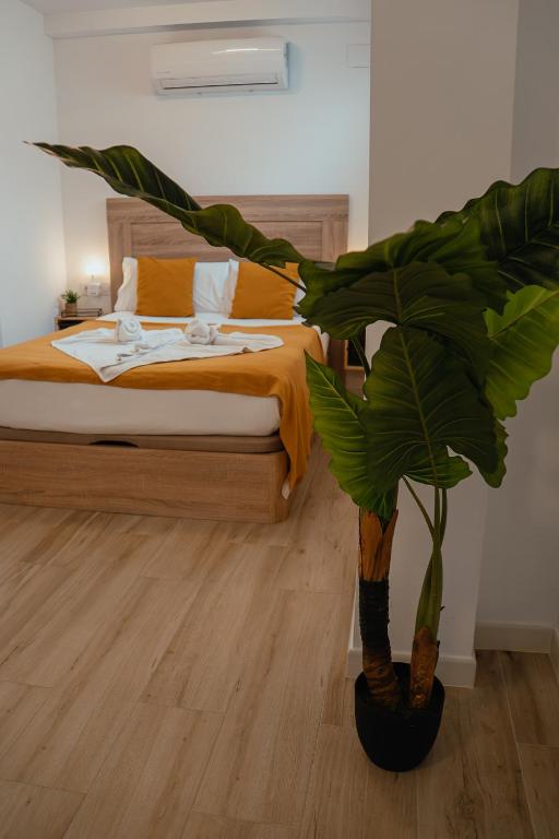 Andalusian Stay II