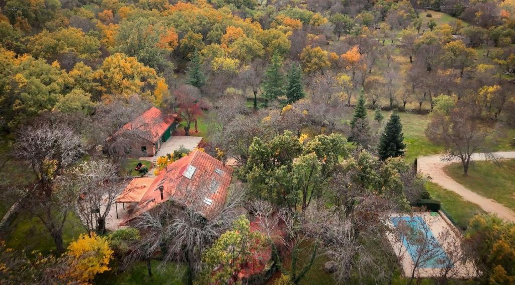 an aerial view of a house in a forest at Finca La Machota Centro de Naturaleza in Peralejo