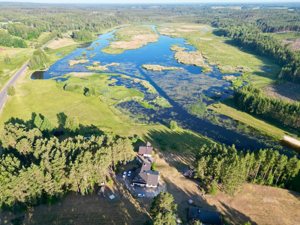 an aerial view of a river with trees at Tabina puhkemaja in Tabina