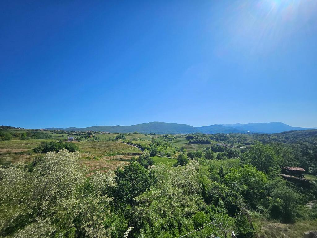 GiardinidiEva B&B - Penthouse Apartment