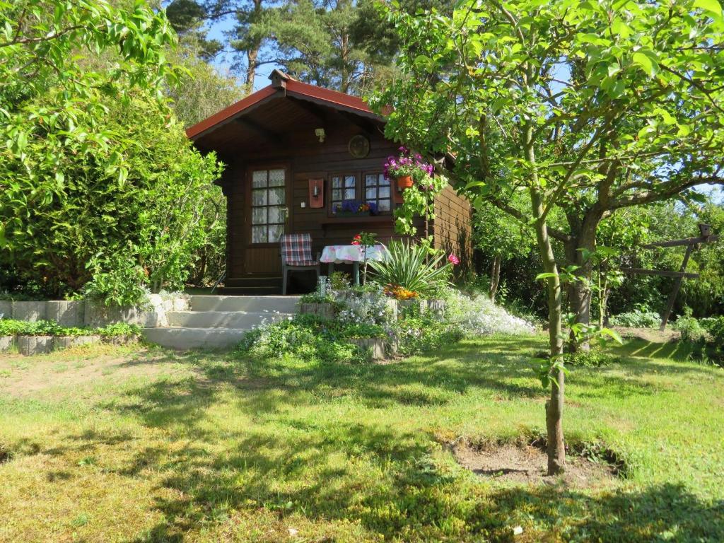 a small house with a tree in the yard at Kölp - Block`s Ferienhäuschen in Kolpinsee