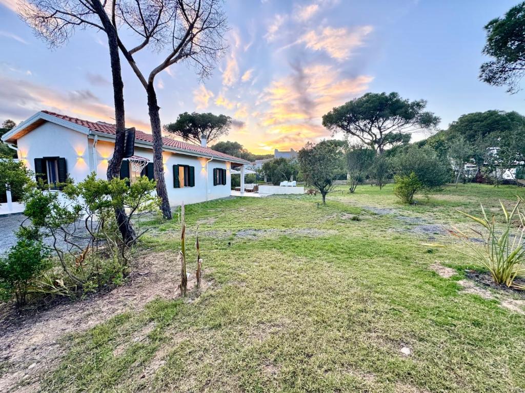 a house with a tree in the yard at FilMa Seagarden Villa in Pula