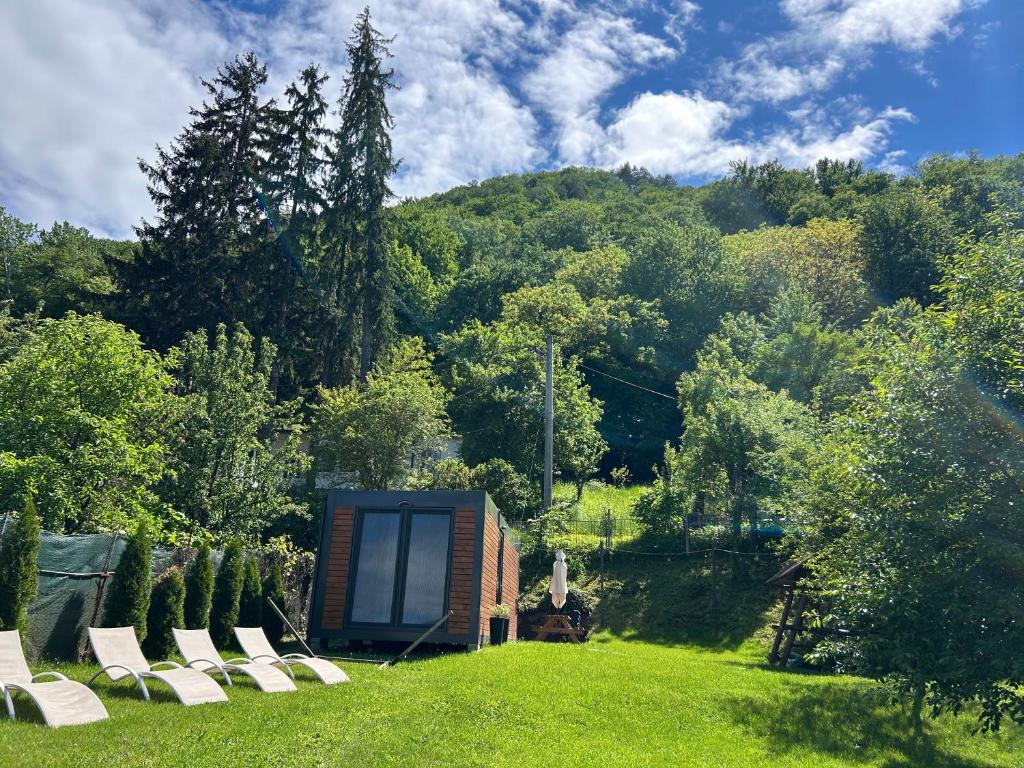 a group of chairs sitting in the grass near a building at Tiny Cozia Caciulata in Caciulata