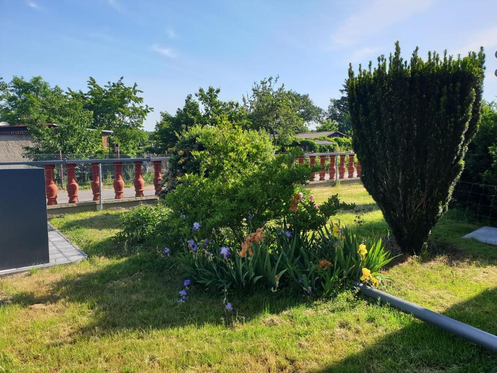 a garden with flowers and a tree at Euer Ferienheim in Senftenberg
