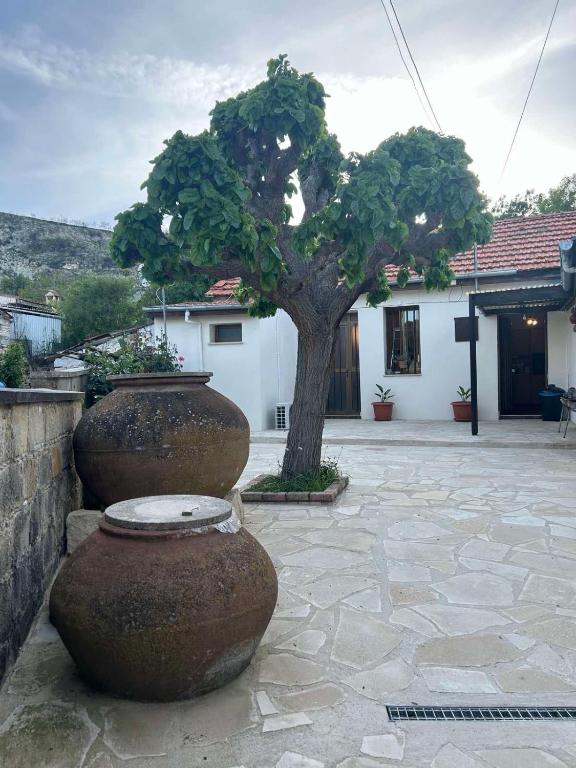 Ein Baum vor einem Gebäude mit zwei großen Vasen in der Unterkunft Giorgoula house in Koilani