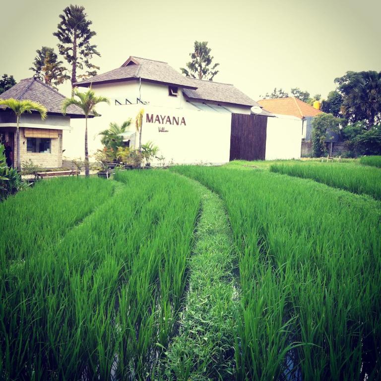 Mayana Villas - 一居室花园别墅，带私人游泳池