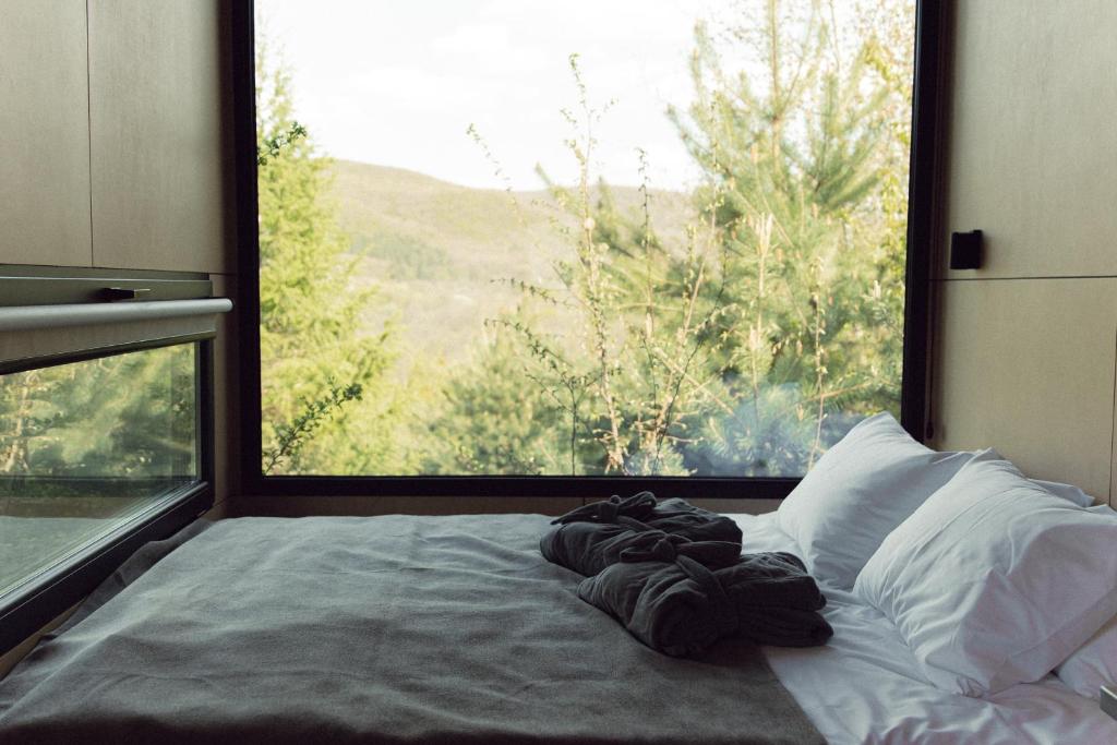a bed in a room with a large window at Dvoye in Vodniki