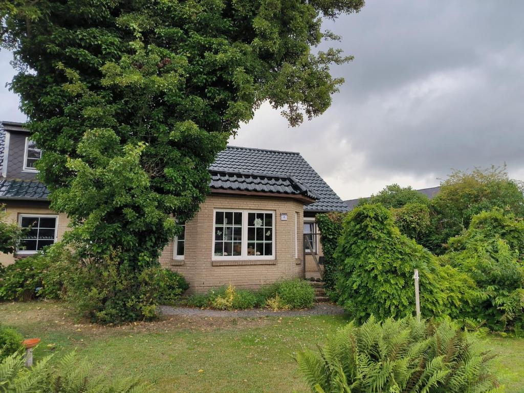 a house with a tree in front of it at Ferienwohnung Hinz - Gemütliche Unterkunft für 2 Personen mit modernem Bad in Ellingstedt
