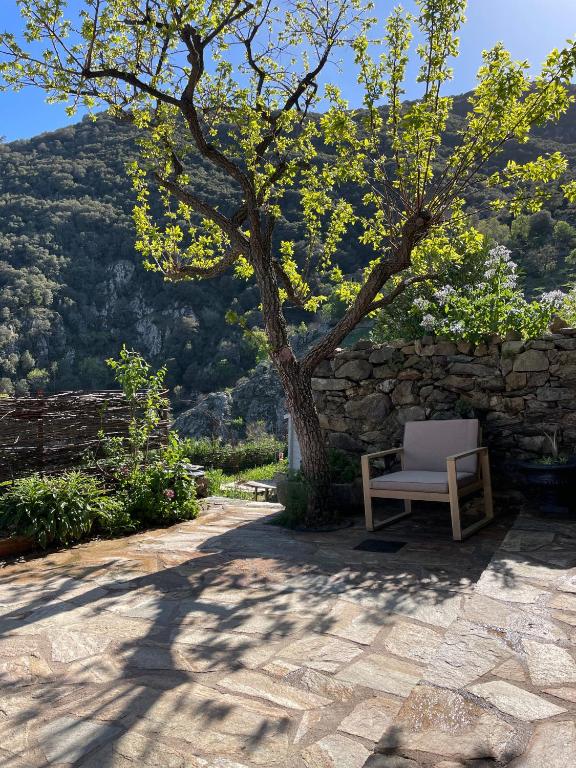 a chair sitting next to a stone wall with a tree at Lortu vivu in Castifao