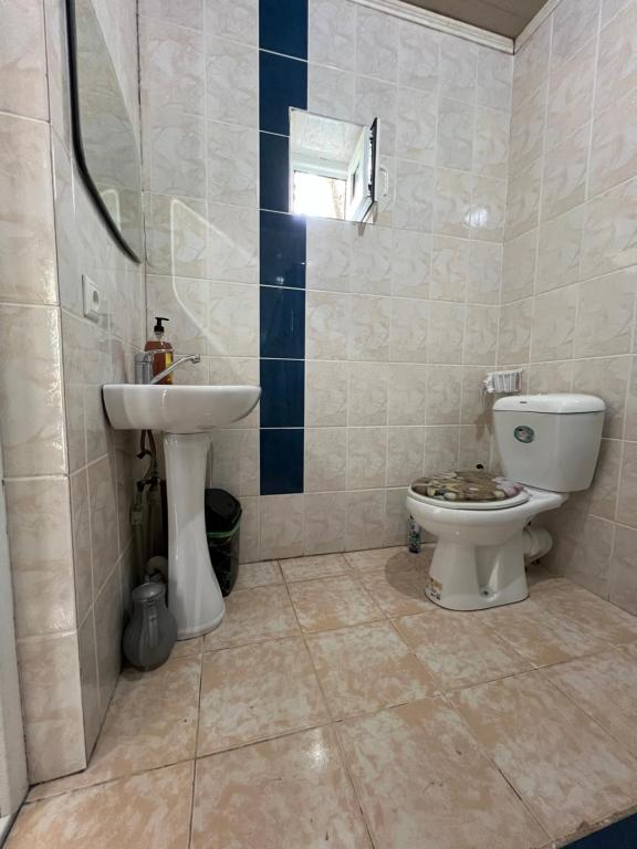 a bathroom with a toilet and a sink at Hotel Parus in Balykchy