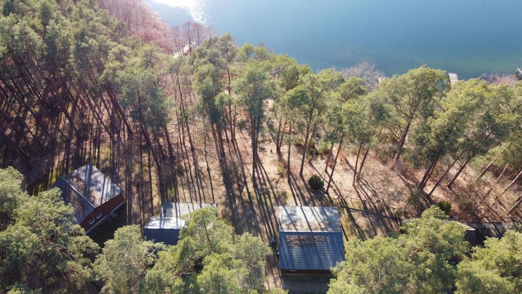 an aerial view of a mountain with trees at Dependance Ferienhäuser am Kastavensee in Lychen