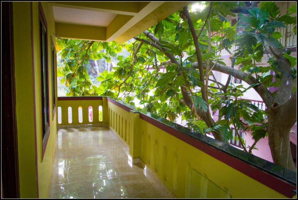 All Seasons Guest House في فاسكو دا غاما: شرفة منزل مع شجرة