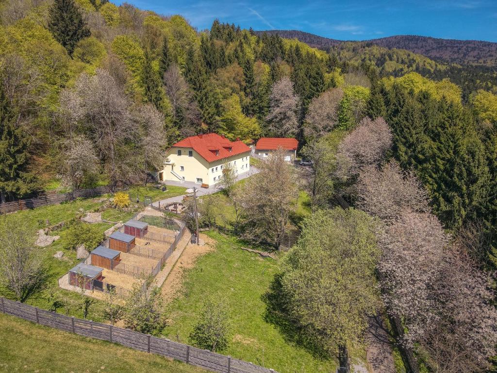 an aerial view of a house on a hill with trees at Ferienwohnung Huskyhausen - Schlittenhunde Erlebnisse & Urlaub mitten in der Natur! in Klaffer am Hochficht