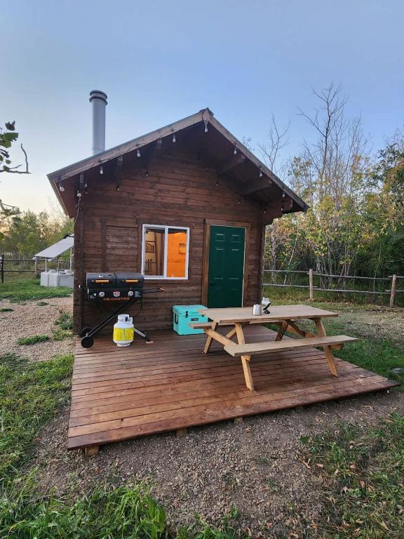 a wooden cabin with a picnic table and a picnic table at COTC - The Grouse House - Suite in Castor