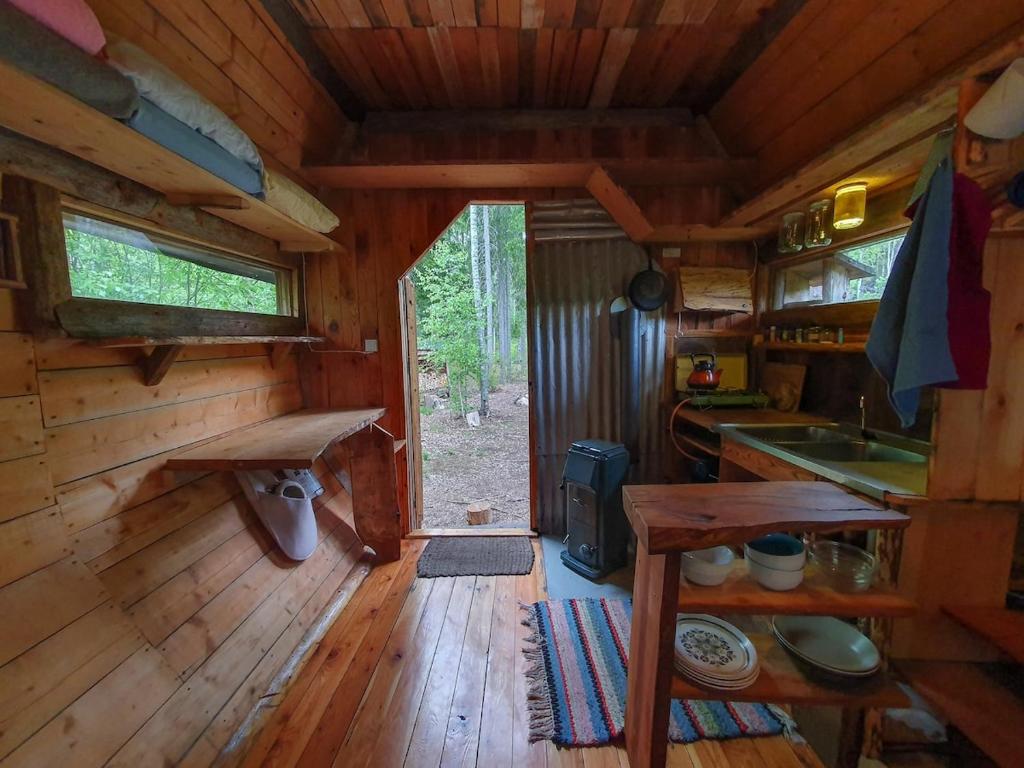 Rustic Cabin on Off-Grid Homestead