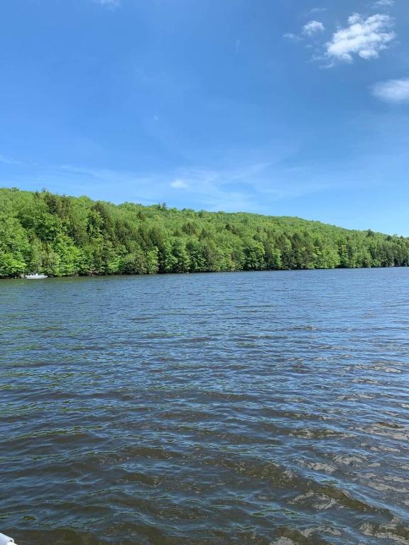 a body of water with trees in the background at Private Lakefront with Dock! in Bethel