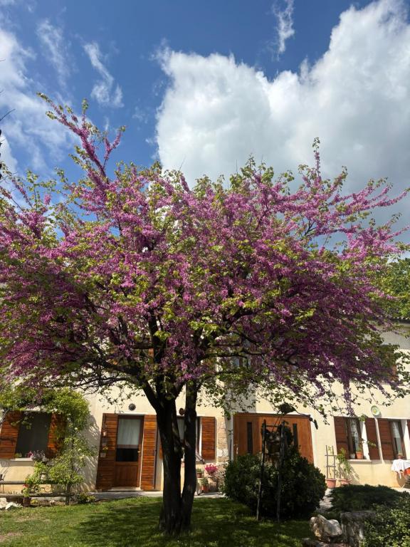 B&B Altè - Housity