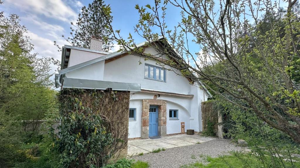 a white house with a blue door at Pod Borovicí Broumy in Broumy