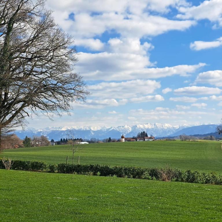 a field of green grass with mountains in the background at Ferienwohnung Alpenblick in Wessobrunn