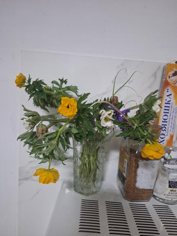 a vase filled with yellow and white flowers on a counter at Cozy Stay Emir in Kazarman